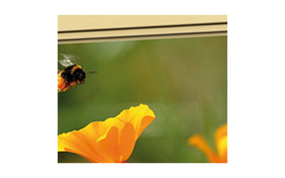 Choose low VOC paints for health